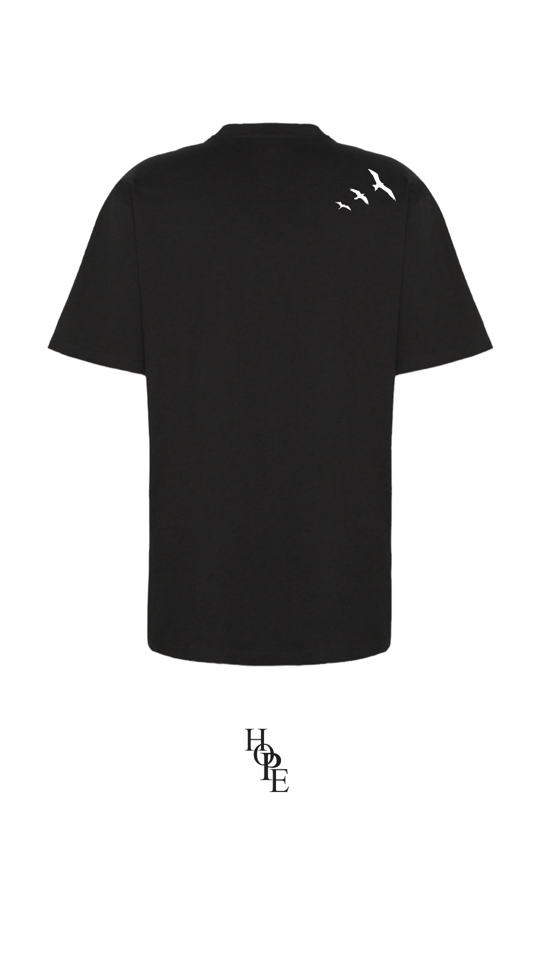 โ๐๐๐๐๐๐๐โ ๐๐๐๐๐